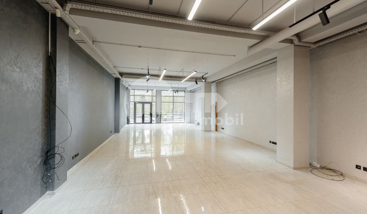 Комм. помещение, Ботаника, ТРАНДАФИРИЛОР