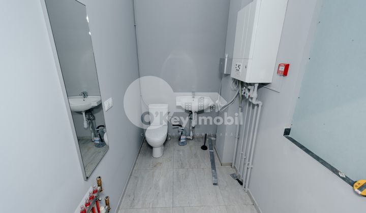 Комм. помещение, Ботаника, ТРАНДАФИРИЛОР