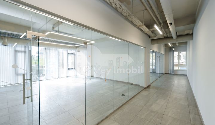 Oficiu, Centru, LEV TOLSTOI