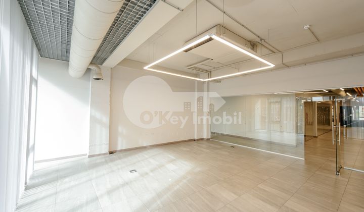 Oficiu, Centru, LEV TOLSTOI