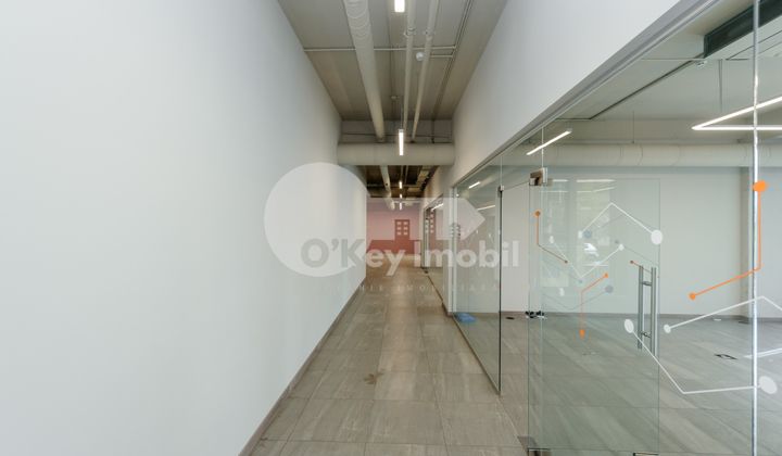 Oficiu, Centru, LEV TOLSTOI