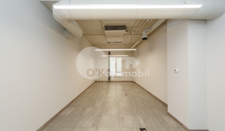 Oficiu, Centru, LEV TOLSTOI