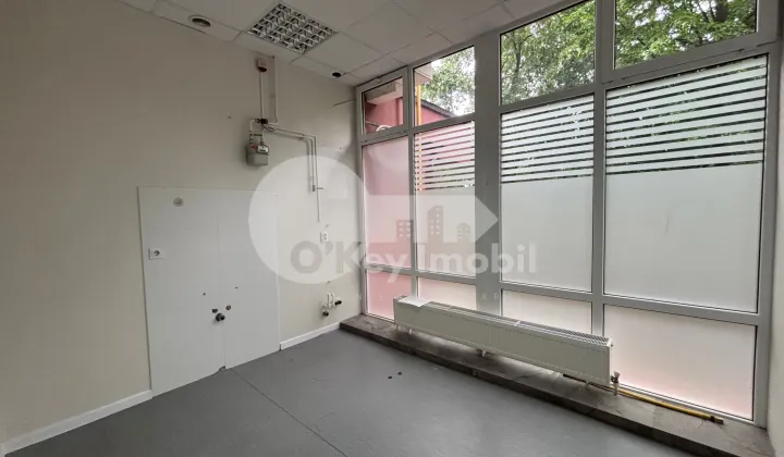 Spațiu comercial, Buiucani, ALBA IULIA