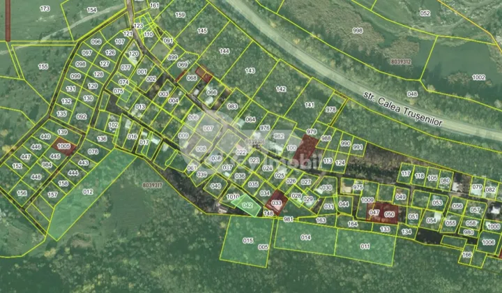 Земельный участок, ТРУШЕНЫ