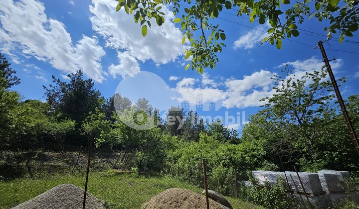 Земельный участок, ТРУШЕНЫ