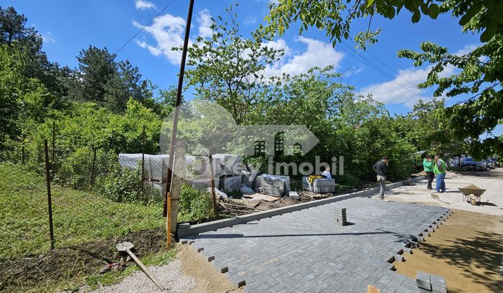 Земельный участок, ТРУШЕНЫ