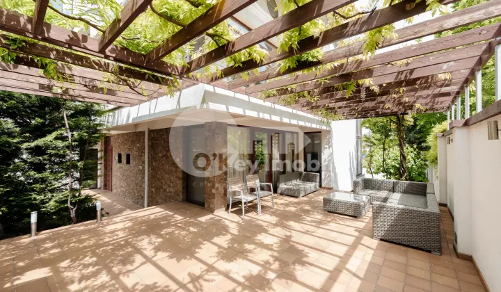 Casă, Telecentru, GHEORGHE ASACHI