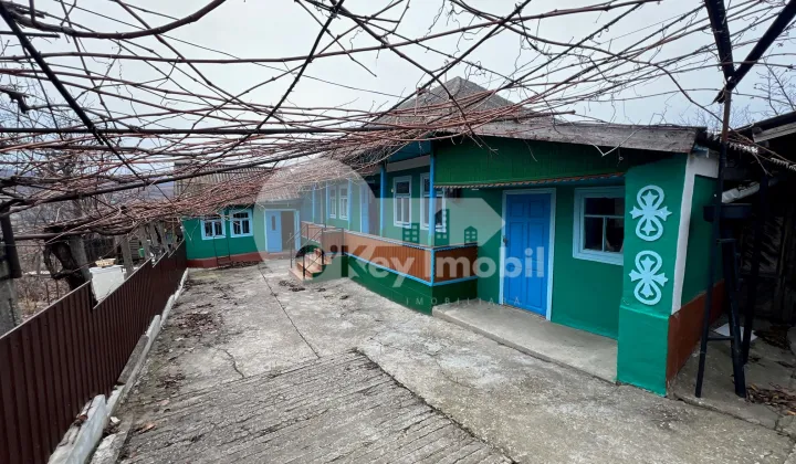 Дом, МОЛЕШТЬ