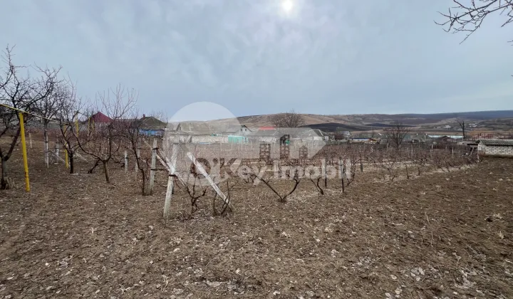 Дом, МОЛЕШТЬ