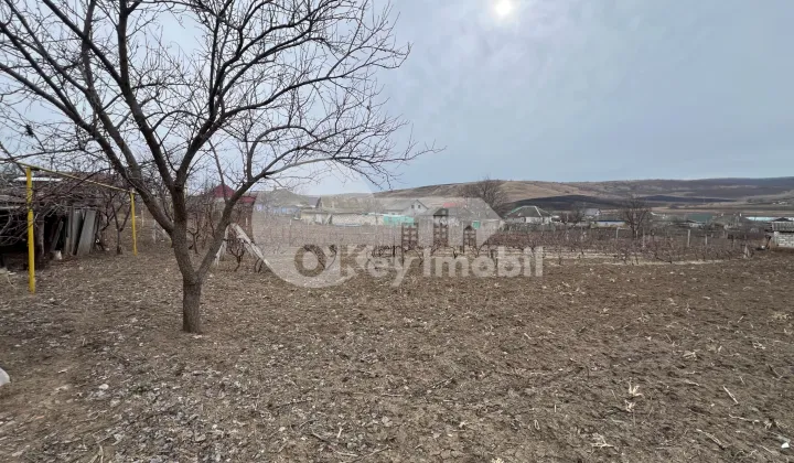 Дом, МОЛЕШТЬ