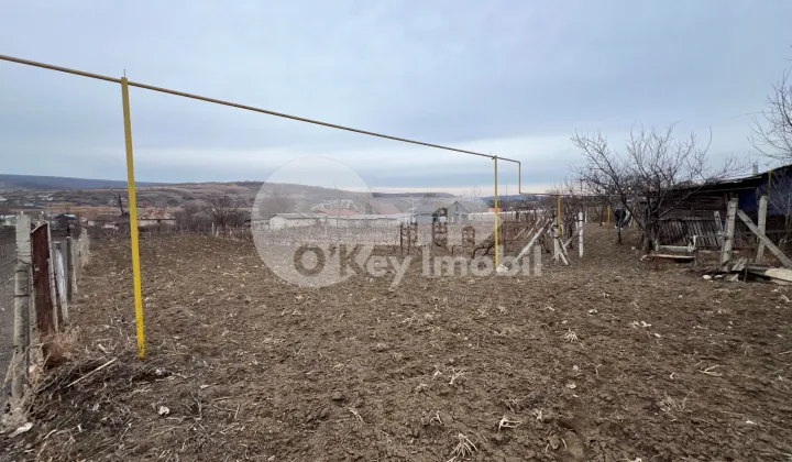 Дом, МОЛЕШТЬ