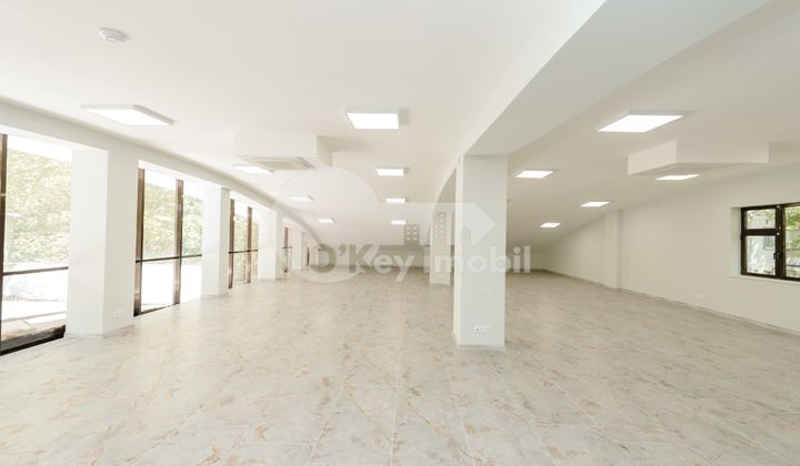 Spațiu comercial, Botanica, INDEPENDENȚEI