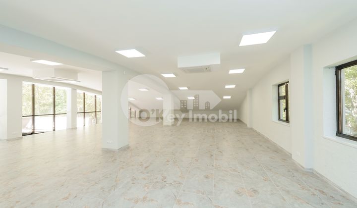 Spațiu comercial, Botanica, INDEPENDENȚEI