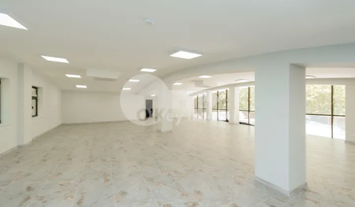 Комм. помещение, Ботаника, ИНДЕПЕНДЕНЦЕЙ