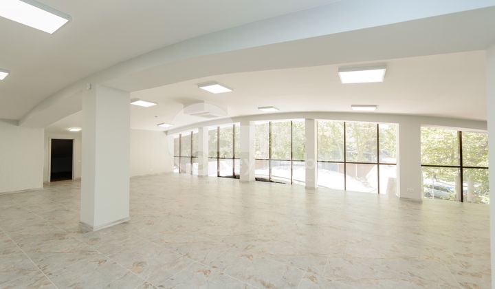 Spațiu comercial, Botanica, INDEPENDENȚEI