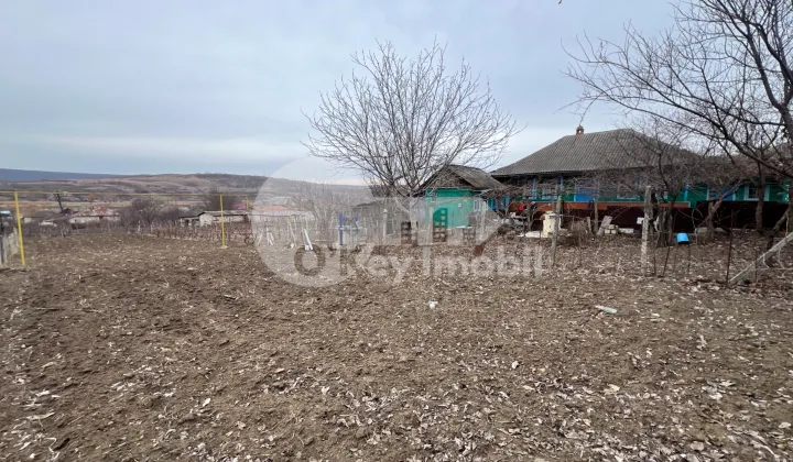 Дом, МОЛЕШТЬ