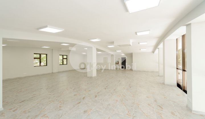 Spațiu comercial, Botanica, INDEPENDENȚEI