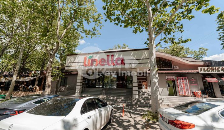 Spațiu comercial, Botanica, INDEPENDENȚEI