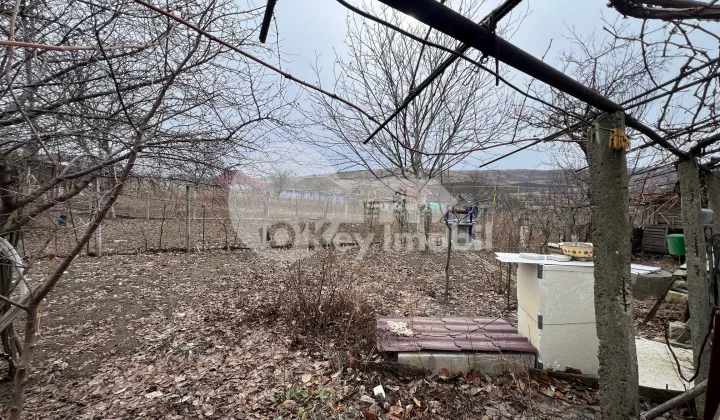 Дом, МОЛЕШТЬ