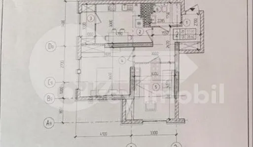Apartament, Botanica, DIMINEȚII