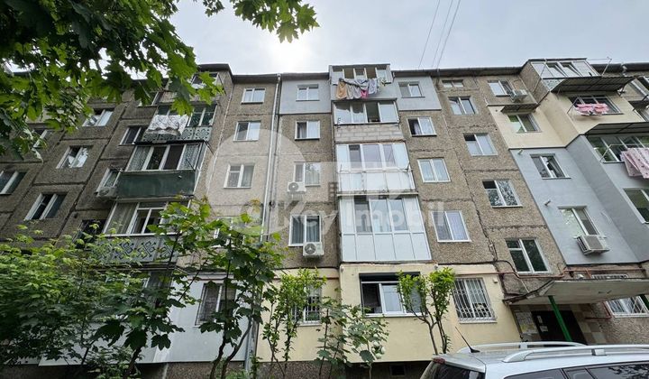 Квартира, Ботаника, ХРИСТО БОТЕВ