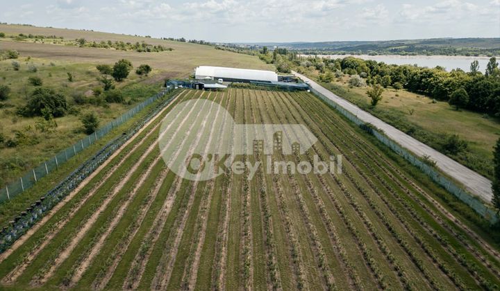 Земельный участок, ЯЛОВЕНЫ