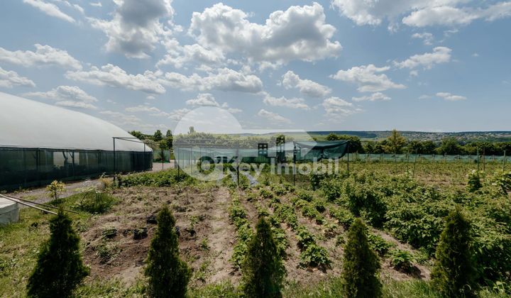 Земельный участок, ЯЛОВЕНЫ