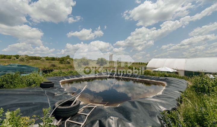 Земельный участок, ЯЛОВЕНЫ