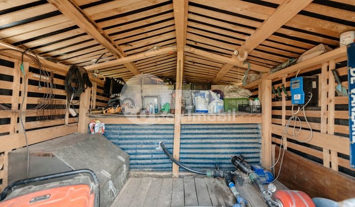 Земельный участок, ЯЛОВЕНЫ