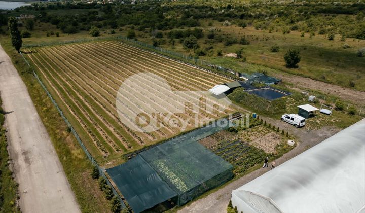 Земельный участок, ЯЛОВЕНЫ