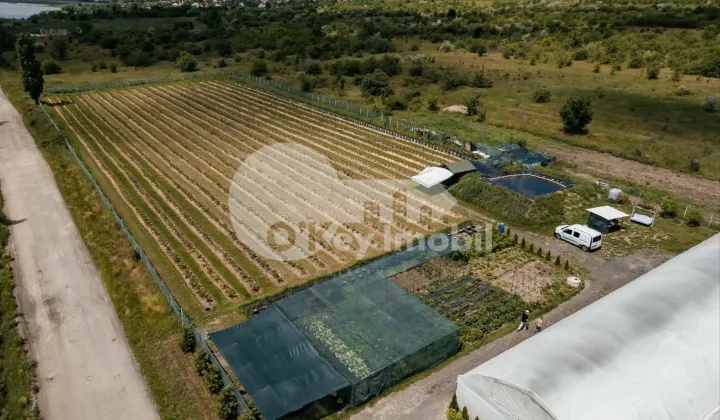 Земельный участок, ЯЛОВЕНЫ