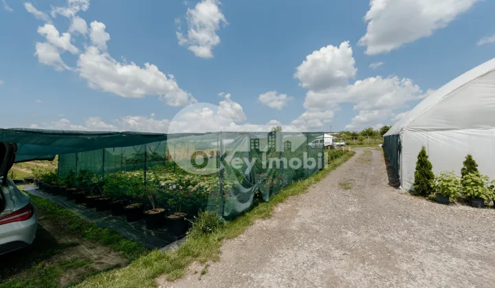 Земельный участок, ЯЛОВЕНЫ