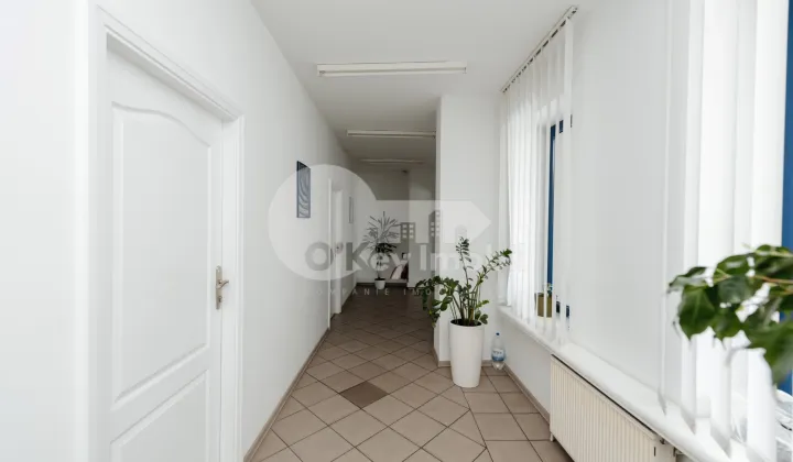 Офис, Центр, АЛЕКСАНДРУ ЧЕЛ БУН