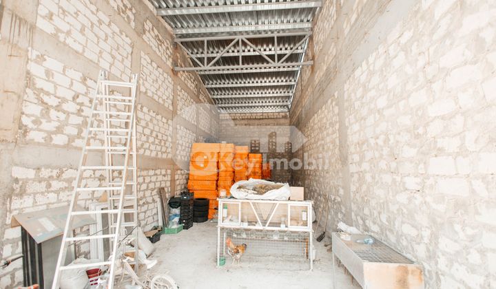 Depozit, Botanica, HALTEI