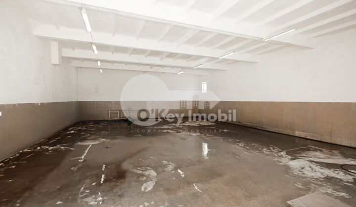 Depozit, Botanica, HALTEI