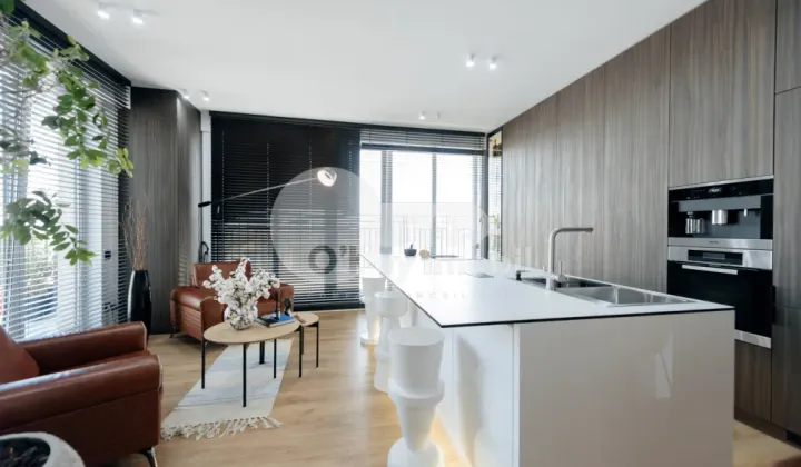 Penthouse, Ciocana, MIRCEA CEL BĂTRÂN