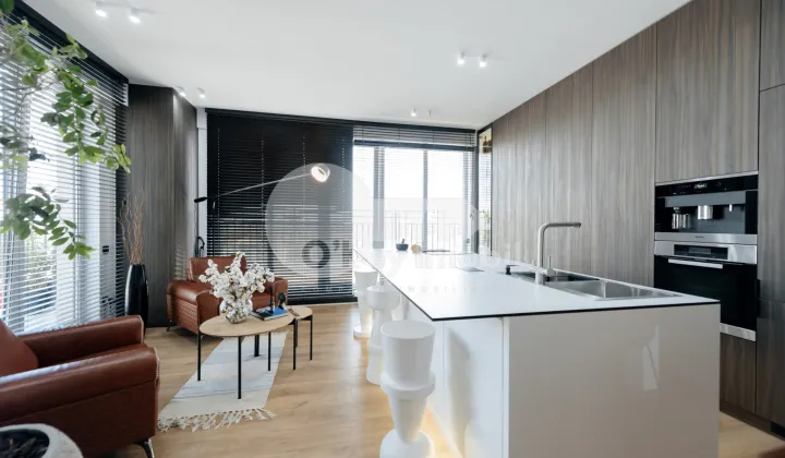 Пентхаус, Чеканы, МИРЧА ЧЕЛ БЭТРЫН