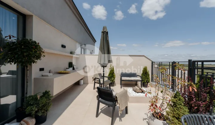 Пентхаус, Чеканы, МИРЧА ЧЕЛ БЭТРЫН