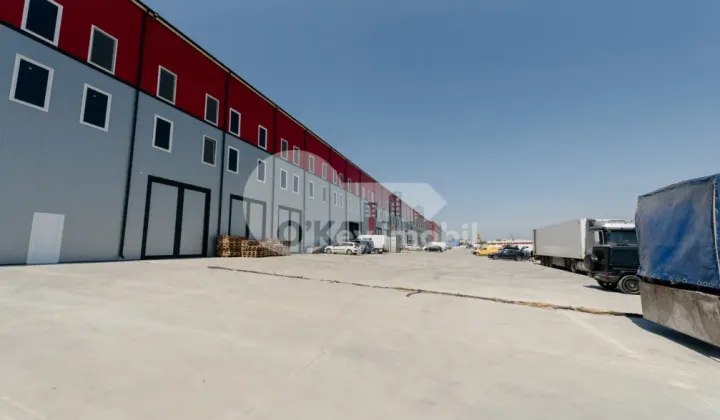 Depozit, Botanica, DACIA