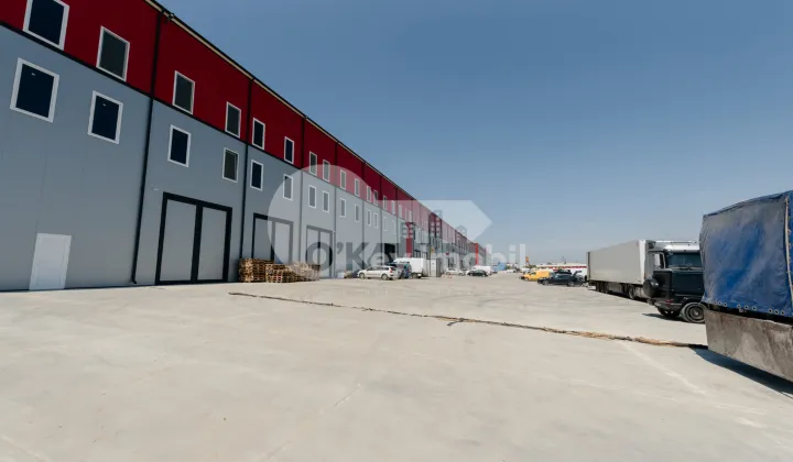 Склад, Ботаника, ДАЧИЯ