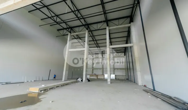 Depozit, Botanica, DACIA