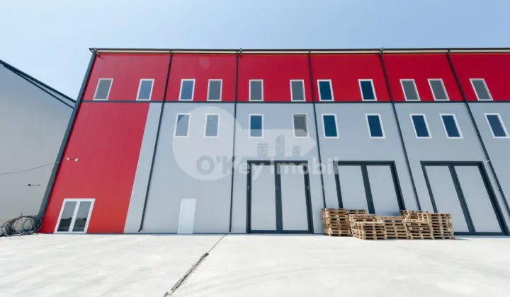 Depozit, Botanica, DACIA