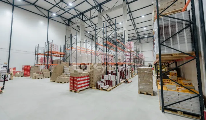 Depozit, Botanica, DACIA