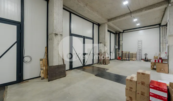 Склад, Ботаника, ДАЧИЯ