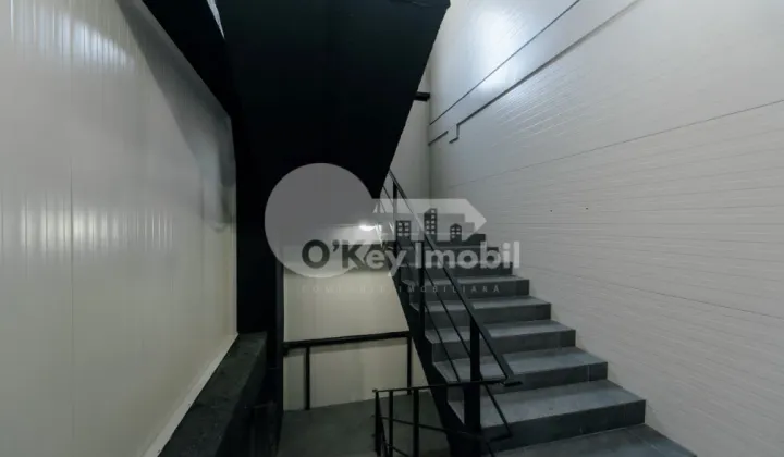 Depozit, Botanica, DACIA