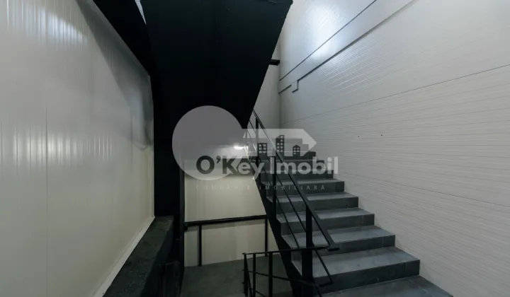 Склад, Ботаника, ДАЧИЯ