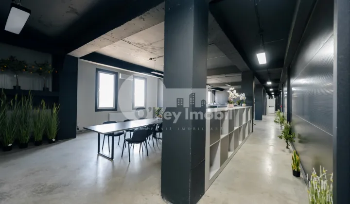 Склад, Ботаника, ДАЧИЯ