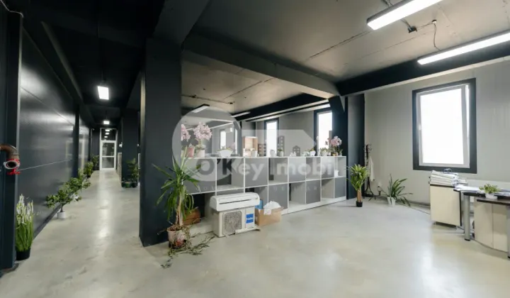 Depozit, Botanica, DACIA