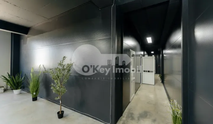 Depozit, Botanica, DACIA