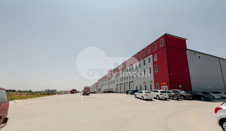 Склад, Ботаника, ДАЧИЯ